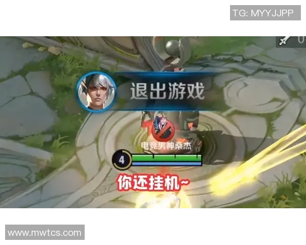 吴敏畅谈王者荣耀背后的故事与电竞人生的深度探索