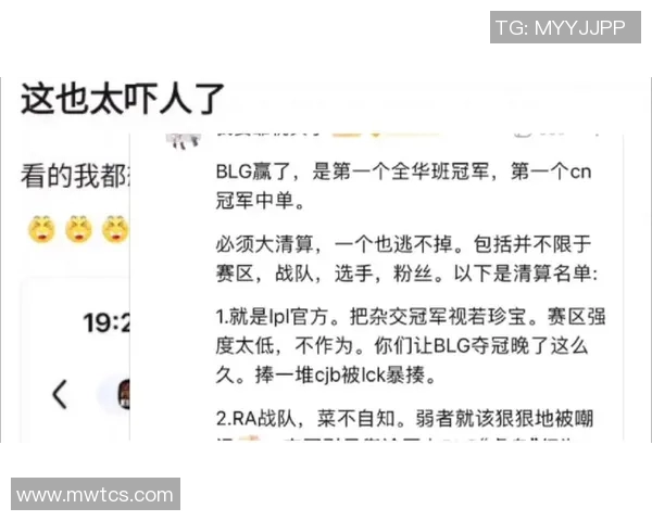 电竞比分热议和平精英BLG实力变革背后的战术调整与团队重塑分析